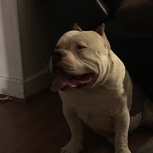 Meet your Posher, Jacob